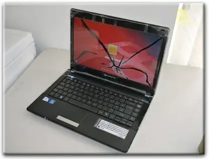 Замена матрицы Packard Bell в Краснознаменске